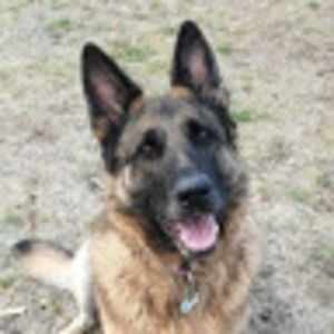 Meet your Posher, Heidi